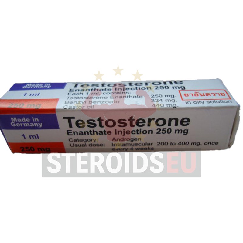 Testosterone enanthate - Rotexmedica (Germany) | box 1amp x 1ml | 250 mg/ml