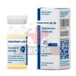 testosterone-enanthate-somatrop-lab-10ml-250-mg-ml